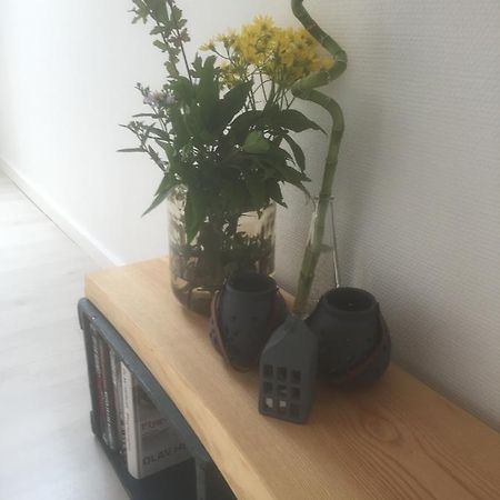 Skovlunds Bed & Breakfast Hojene Luaran gambar